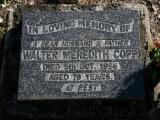 image of grave number 774072
